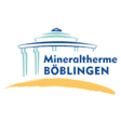 Logo für den Job Ausbildung zum Bachelor of Arts BWL Tourismus Vertiefung Freizeitwirtschaft (m/w/d)