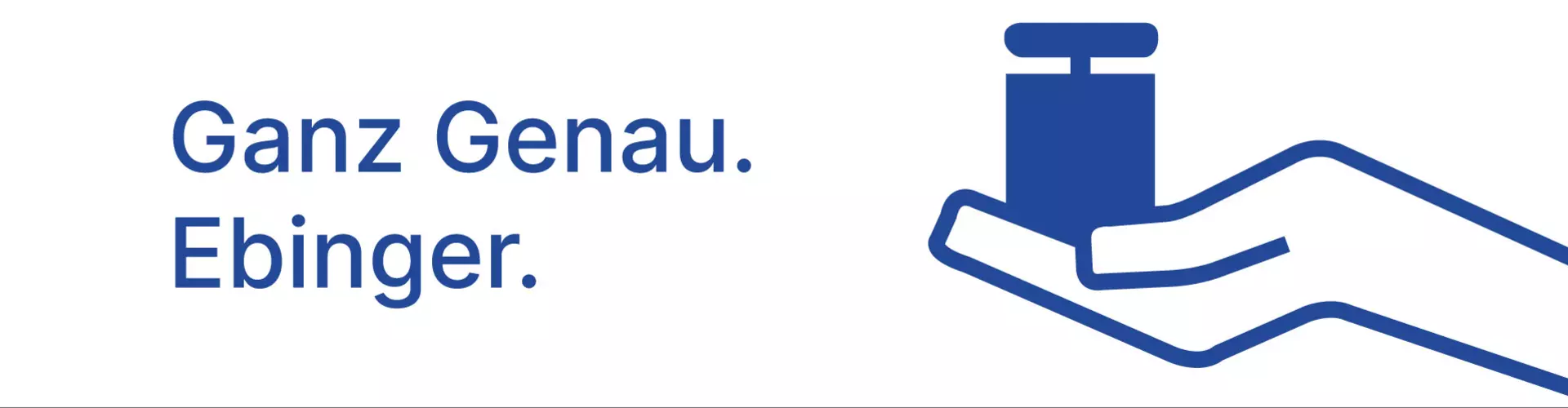 Ebinger Waagenbau GmbH cover